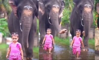https://d2h7z5r5pp4sed.cloudfront.net/malayalam/news/baby_girl_and_elephant_viral_video-ac0.jpg