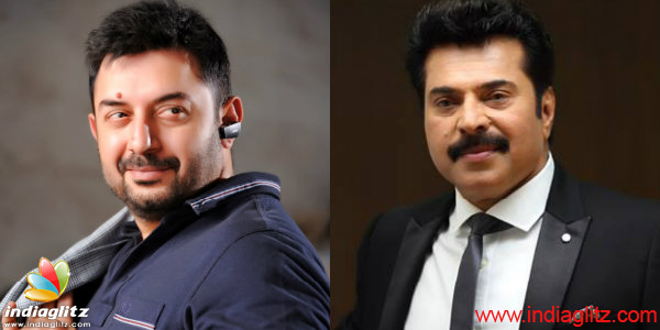 Mammootty and Aravind Swamy to team up again - Tamil News ...