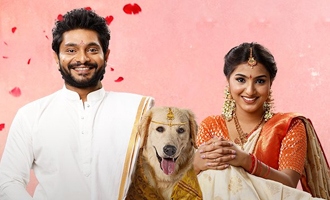 Slum Dog Husband Trailer And Songs. తెలుగు Movie Trailers, Songs And ...