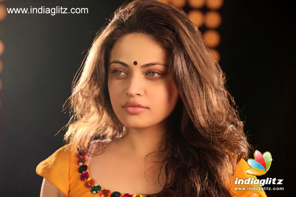 Know What Happened To Sneha Ullal Bollywood News Indiaglitz Com